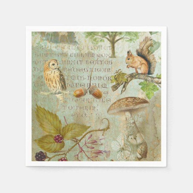 Woodland Forest Wildlife Squirrel, Owl, Decoupage Napkins (Front)