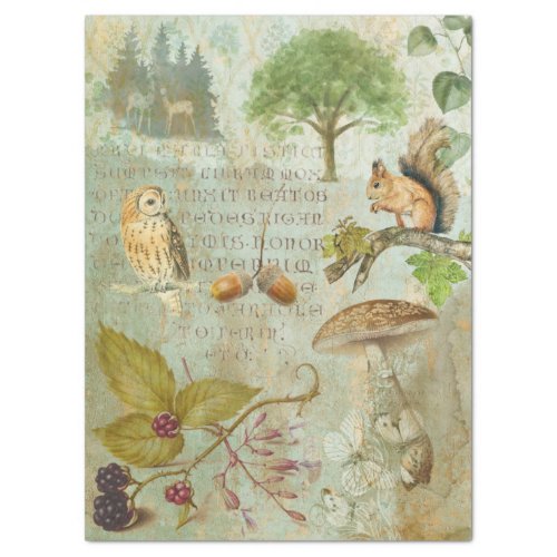 Woodland Forest Wildlife Squirrel Owl Decoupage Tissue Paper