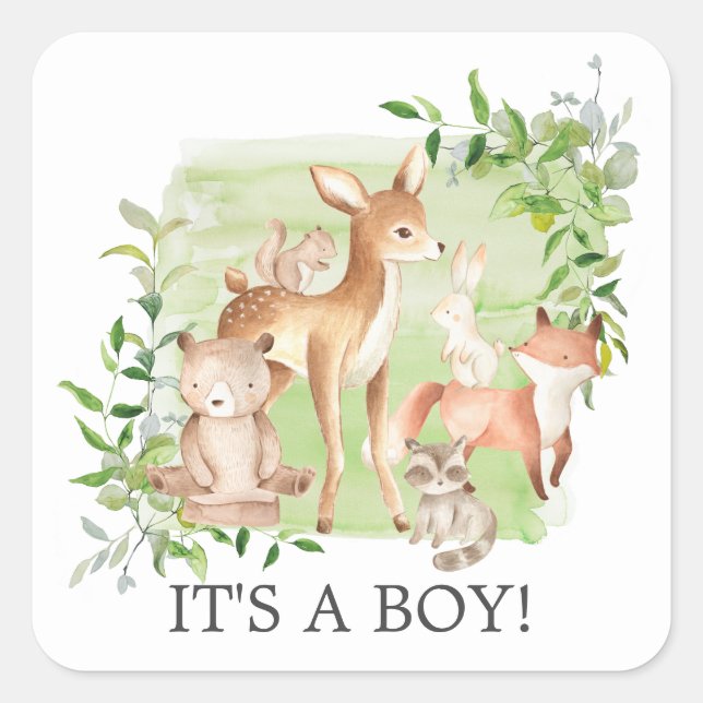 Woodland Friends  It' a Boy Favor Sticker (Front)