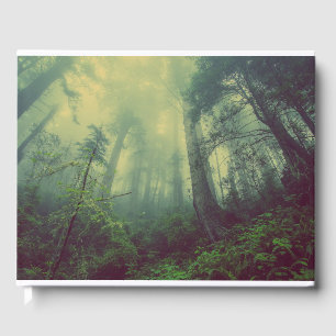 Woodland From Below Guest Book