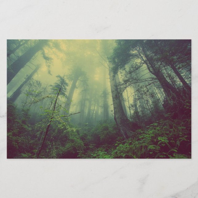 Woodland From Below Stationery (Front)