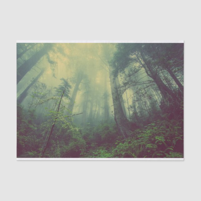 Woodland From Below Tissue Paper (Front)