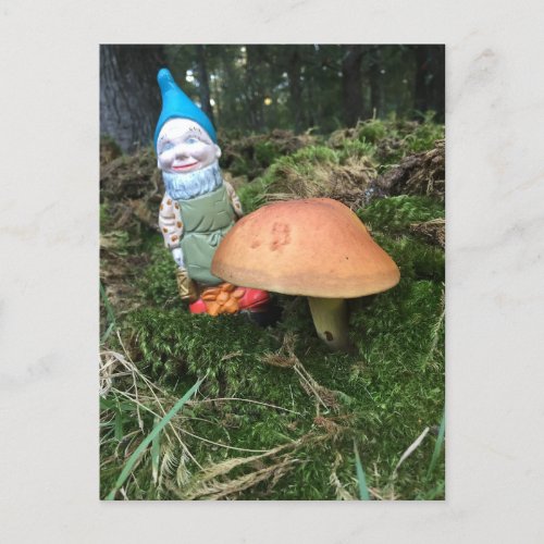 Woodland Gnome Postcard