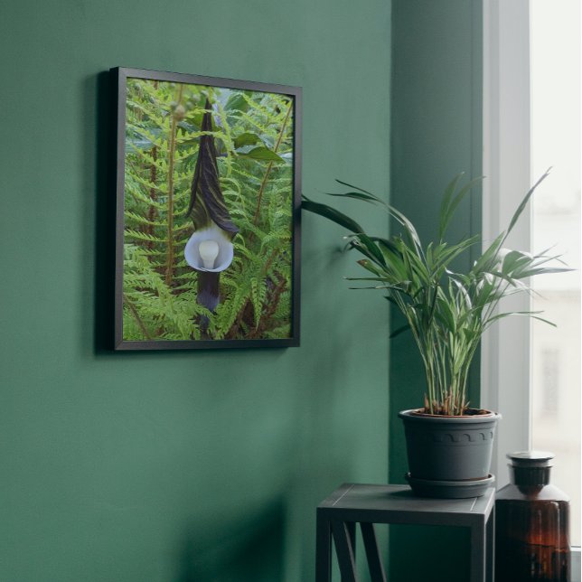 Woodland Jack-in-the-Pulpit Floral Poster (In Situ)