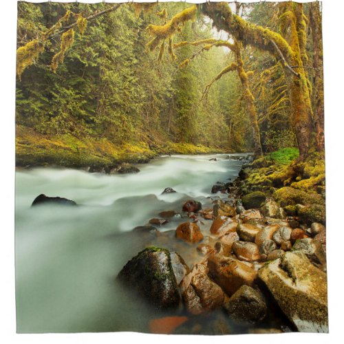 Woodland Landscape with Flowing Stream Shower Curtain