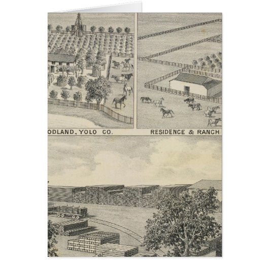 Woodland lumber company (Front)