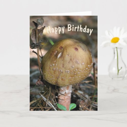 Woodland Mushroom Nature Birthday  Card