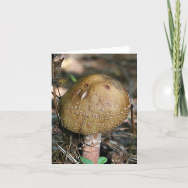 Woodland Mushroom Nature Photography  Note Card (Front)