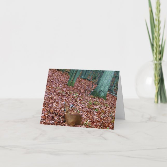 Woodland Note Card Doe a Deer (Front)