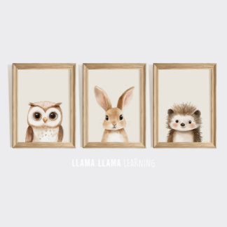 Woodland Nursery Wall Art Print Set