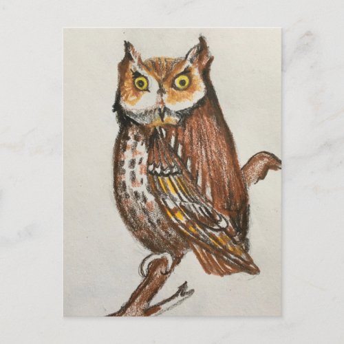 Woodland Owl Brown Wildlife Realistic Art Postcard