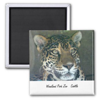 Woodland Park Zoo Cat Magnet by toddsphotography at Zazzle
