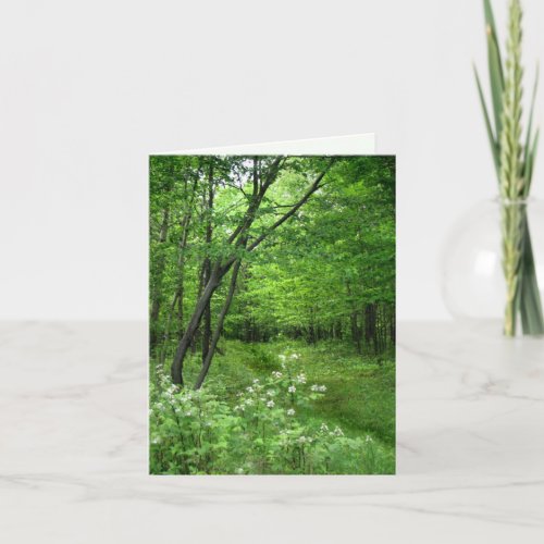 Woodland Path Birthday Card