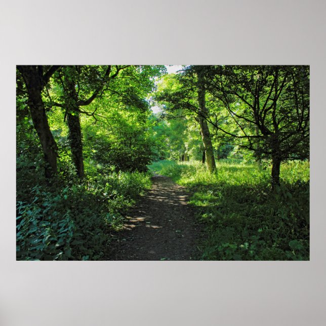 Woodland Path. Blackweir Woods, Cardiff, Wales. Poster (Front)