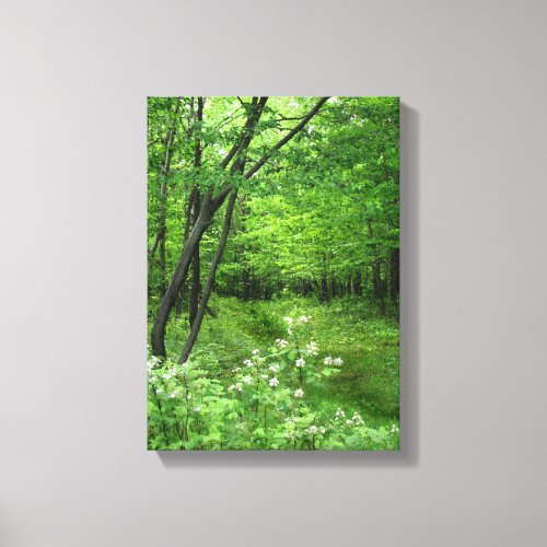 Woodland Path Canvas Print