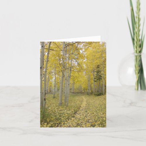 Woodland Path Christian All Occasion Greeting Card
