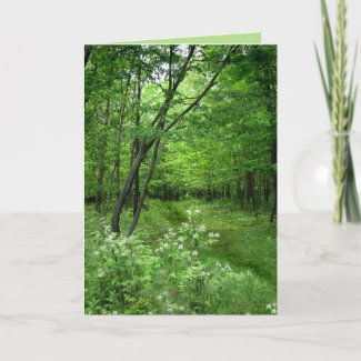 Woodland Path Fathers Day Card