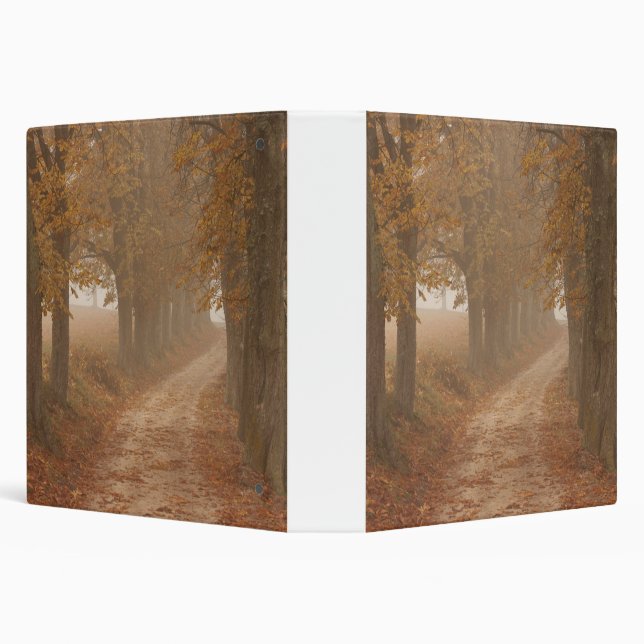 Woodland Path Lined by Autumn Trees Photo 3 Ring Binder (Background)