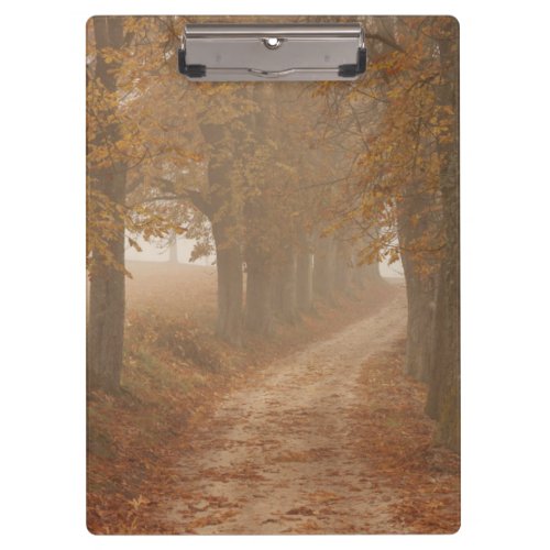Woodland Path Lined by Autumn Trees Photo Clipboard