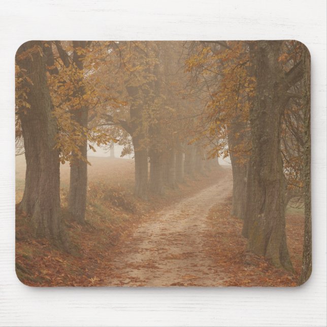 Woodland Path Lined by Autumn Trees Photo Mouse Pad (Front)