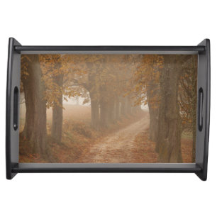 Woodland Path Lined by Autumn Trees Photo Serving Tray