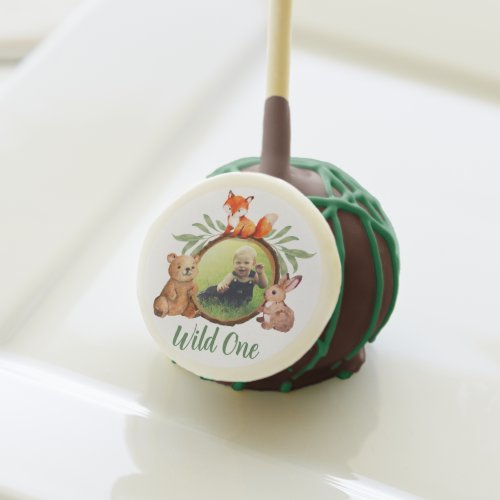 Woodland Photo Wild One 1st Birthday Cute Animals  Cake Pops