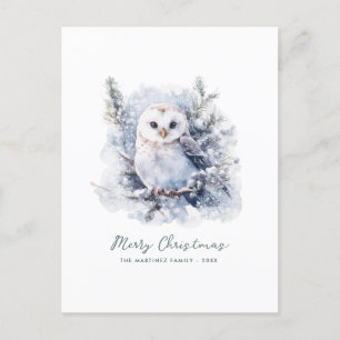 Woodland Pine Owl Merry Christmas Holiday Postcard