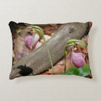 Woodland Pink Wild Lady Slipper Orchid Flowers 