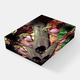 Woodland Pink Wild Lady Slipper Orchid Flowers  Paperweight