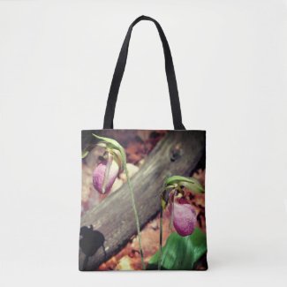 Woodland Pink Wild Lady Slipper Orchid Flowers 