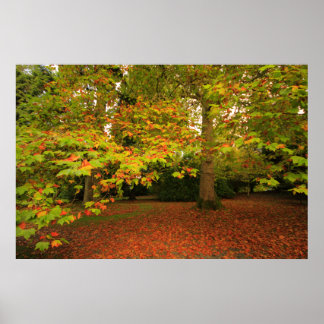 Woodland Print