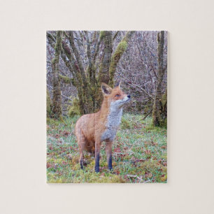 Woodland Red Fox Portrait Upward Gaze Nature Art Jigsaw Puzzle