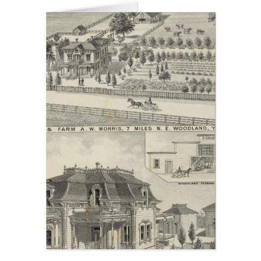 Woodland residences, farms (Front)