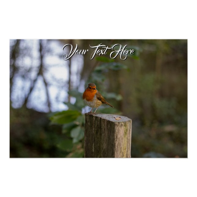 Woodland Robin Glossy Poster (Front)