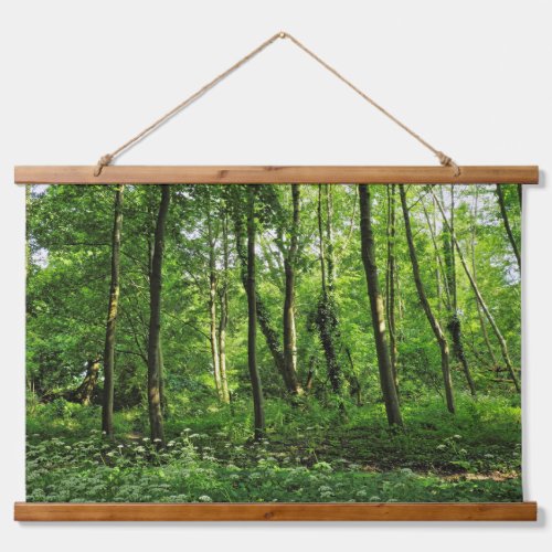 Woodland Scene Blackweir Woods Cardiff Hanging Tapestry