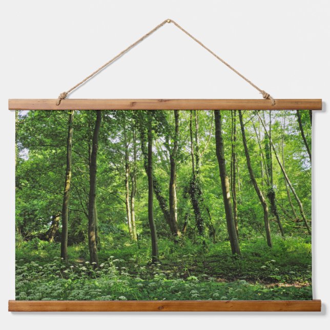 Woodland Scene. Blackweir Woods, Cardiff Hanging Tapestry (Front)