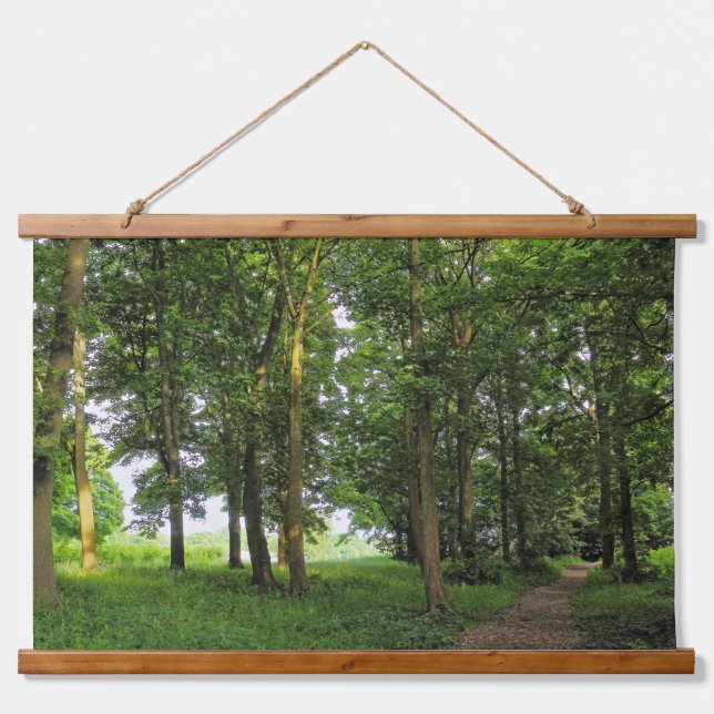 Woodland Scene. Blackweir Woods, Cardiff Hanging Tapestry (Front)