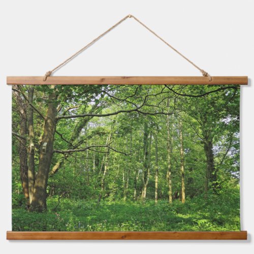 Woodland Scene Blackweir Woods Cardiff Hanging Tapestry