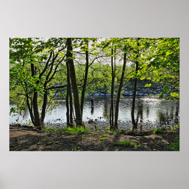 Woodland Scene. Blackweir Woods, Cardiff Poster (Front)