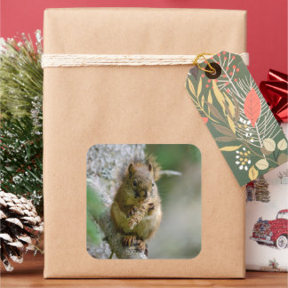 Woodland Squirrel on Branch Square Sticker