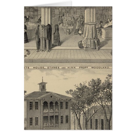 Woodland store, college (Front)