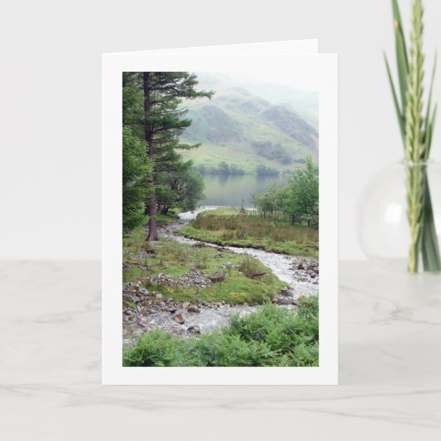 Woodland stream at Buttermere Card (Front)