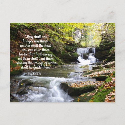 Woodland Stream with comforting Bible message Post Postcard