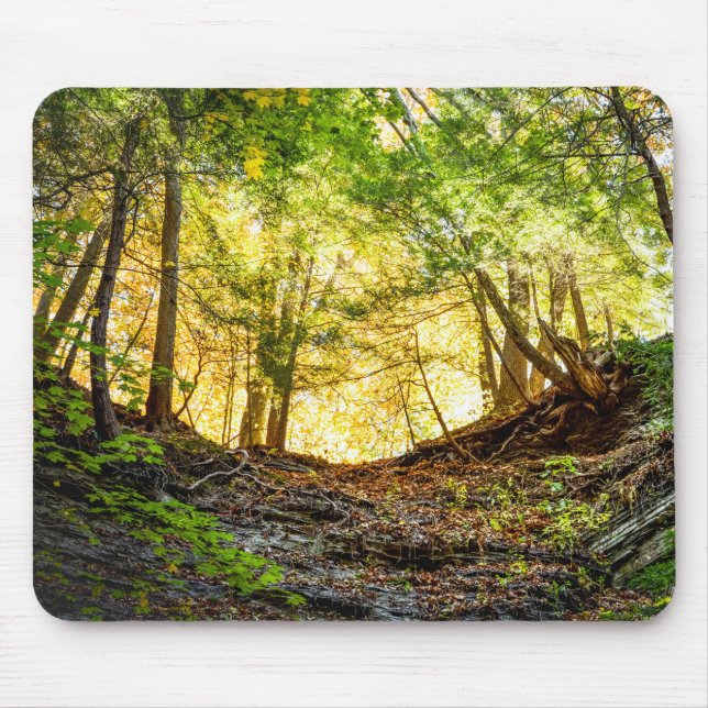 Woodland Sunset Nature Mouse Pad (Front)