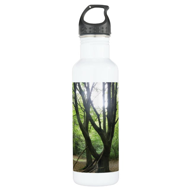 Woodland Sunshine Water Bottle (Front)