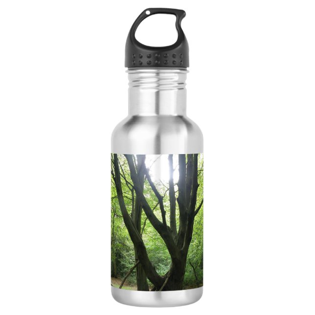 Woodland Sunshine Water Bottle (Front)