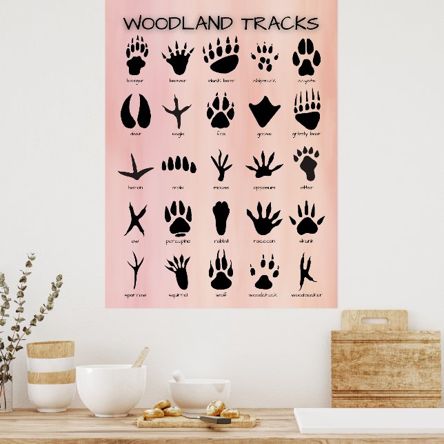 Woodland Tracks Poster (Kitchen)