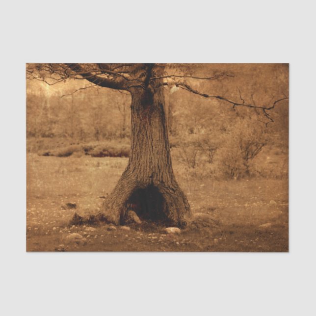 Woodland Tree Old Vintage Rustic Texture Tissue Paper (Front)