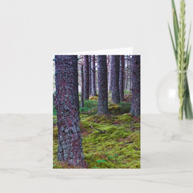 Woodland trees Greeting card (Front)