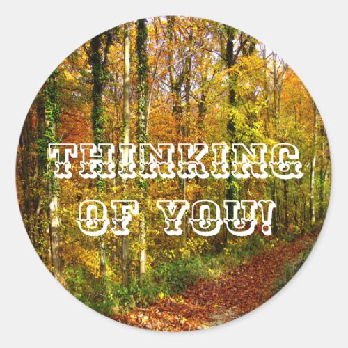 WOODLAND WALK CLASSIC ROUND STICKER